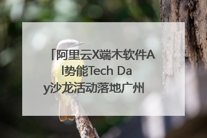 阿里云X端木软件Al势能Tech Day沙龙活动落地广州 邀您共启AI势能