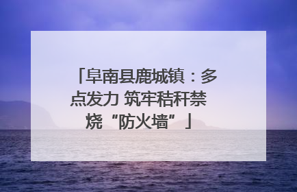 阜南县鹿城镇：多点发力 筑牢秸秆禁烧“防火墙”