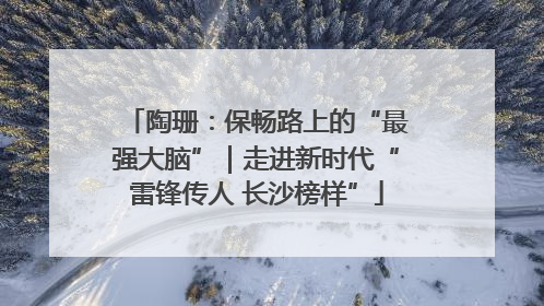 陶珊：保畅路上的“最强大脑”｜走进新时代“雷锋传人 长沙榜样”