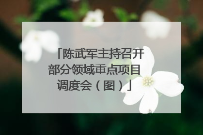 陈武军主持召开部分领域重点项目调度会（图）