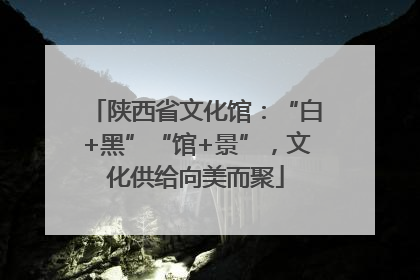 陕西省文化馆：“白+黑”“馆+景”，文化供给向美而聚