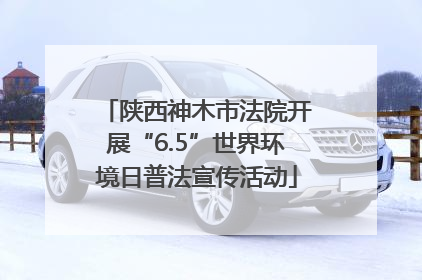 陕西神木市法院开展“6.5”世界环境日普法宣传活动