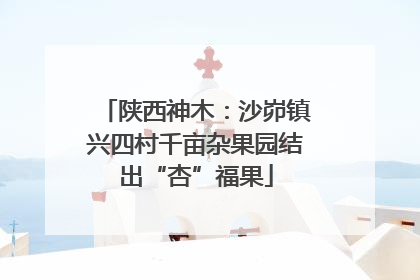 陕西神木：沙峁镇兴四村千亩杂果园结出“杏”福果
