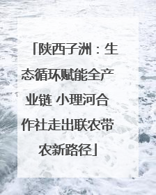 陕西子洲：生态循环赋能全产业链 小理河合作社走出联农带农新路径