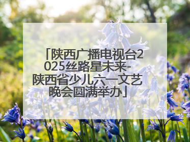 陕西广播电视台2025丝路星未来-陕西省少儿六一文艺晚会圆满举办
