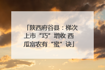 陕西府谷县：梯次上市“巧”增收 西瓜富农有“蜜”诀