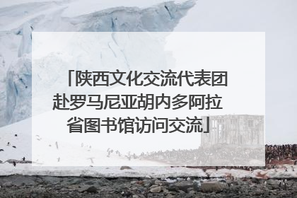 陕西文化交流代表团赴罗马尼亚胡内多阿拉省图书馆访问交流