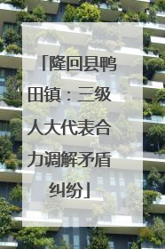 隆回县鸭田镇：三级人大代表合力调解矛盾纠纷