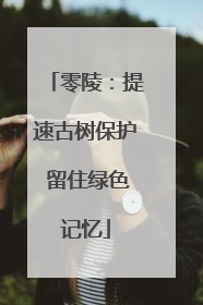 零陵：提速古树保护 留住绿色记忆