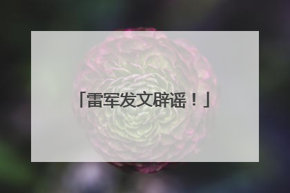 雷军发文辟谣！