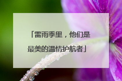 雷雨季里，他们是最美的温情护航者