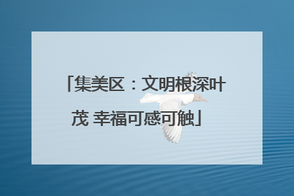 集美区：文明根深叶茂 幸福可感可触