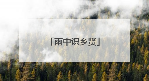 雨中识乡贤