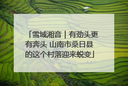 雪域湘音｜有劲头更有奔头 山南市桑日县的这个村落迎来蜕变