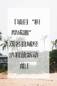 项目“积厚成器” 茂名县域经济释放新动能