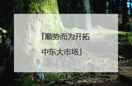 顺势而为开拓中东大市场