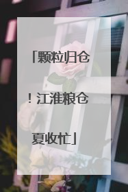 颗粒归仓！江淮粮仓夏收忙
