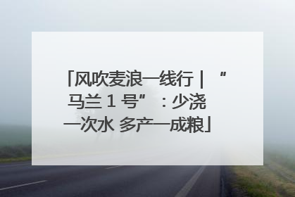 风吹麦浪一线行｜“马兰 1 号”：少浇一次水 多产一成粮