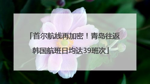 首尔航线再加密！青岛往返韩国航班日均达39班次