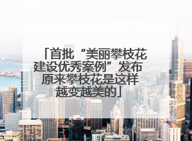 首批“美丽攀枝花建设优秀案例”发布 原来攀枝花是这样越变越美的