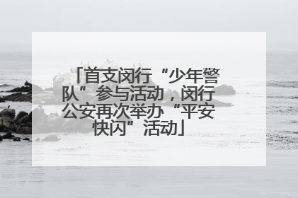 首支闵行“少年警队”参与活动，闵行公安再次举办“平安快闪”活动