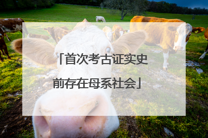 首次考古证实史前存在母系社会