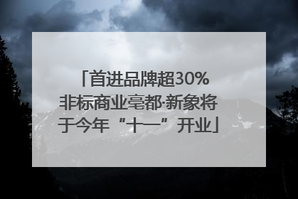 首进品牌超30% 非标商业亳都·新象将于今年“十一”开业
