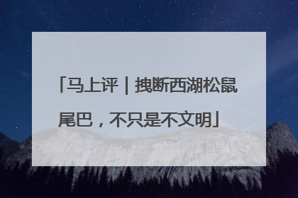 马上评｜拽断西湖松鼠尾巴，不只是不文明