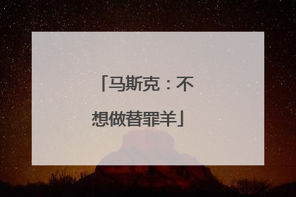 马斯克：不想做替罪羊