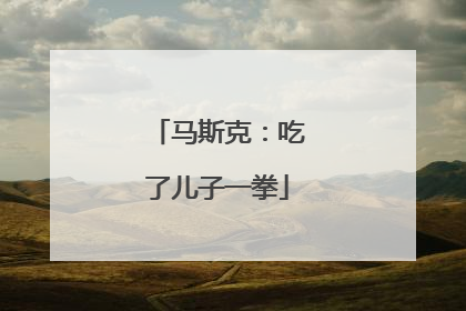 马斯克：吃了儿子一拳