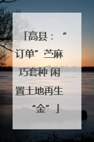 高县：“订单”苎麻巧套种 闲置土地再生“金”