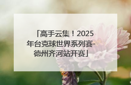 高手云集！2025年台克球世界系列赛-德州齐河站开赛