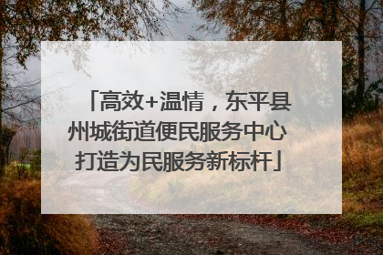 高效+温情，东平县州城街道便民服务中心打造为民服务新标杆
