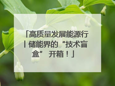 高质量发展能源行丨储能界的“技术盲盒” 开箱！