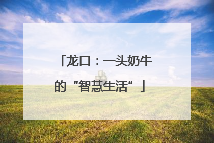 龙口：一头奶牛的“智慧生活”