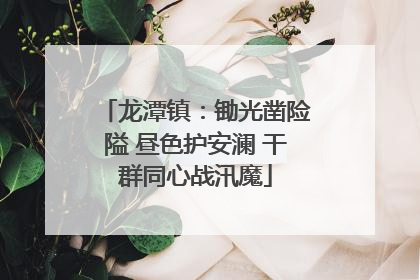 龙潭镇：锄光凿险隘 昼色护安澜 干群同心战汛魔