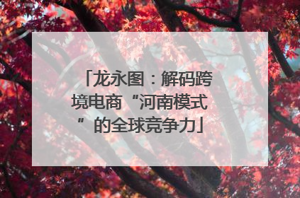 龙永图：解码跨境电商“河南模式”的全球竞争力