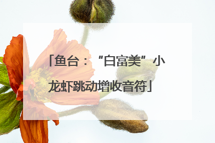 鱼台：“白富美”小龙虾跳动增收音符