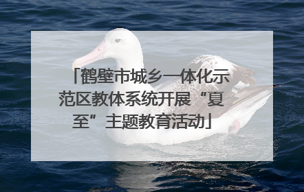 鹤壁市城乡一体化示范区教体系统开展“夏至”主题教育活动