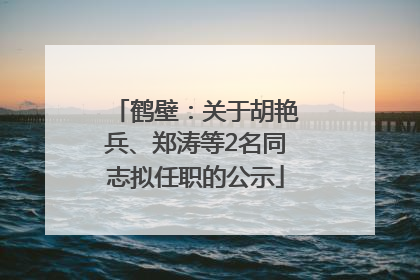 鹤壁：关于胡艳兵、郑涛等2名同志拟任职的公示