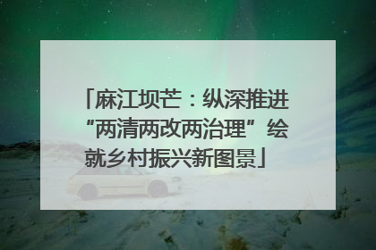 麻江坝芒：纵深推进“两清两改两治理”绘就乡村振兴新图景