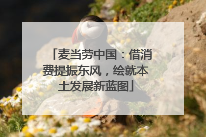 麦当劳中国：借消费提振东风，绘就本土发展新蓝图