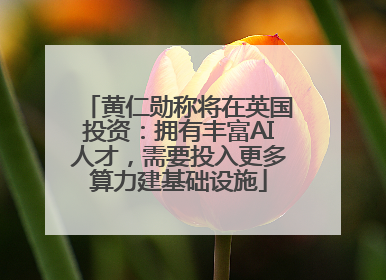 黄仁勋称将在英国投资：拥有丰富AI人才，需要投入更多算力建基础设施