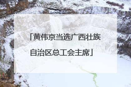 黄伟京当选广西壮族自治区总工会主席