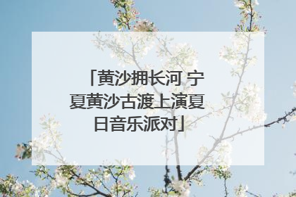 黄沙拥长河 宁夏黄沙古渡上演夏日音乐派对
