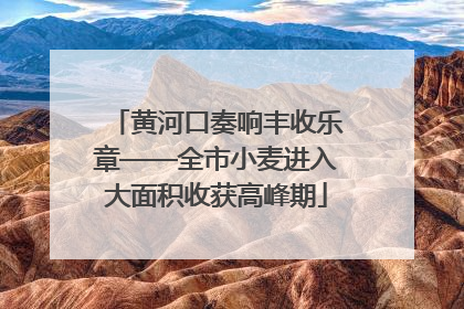 黄河口奏响丰收乐章——全市小麦进入大面积收获高峰期