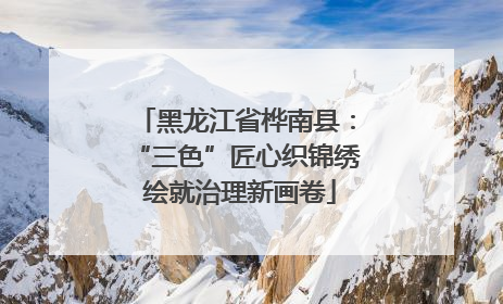 黑龙江省桦南县：“三色”匠心织锦绣 绘就治理新画卷
