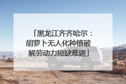 黑龙江齐齐哈尔：胡萝卜无人化种植破解劳动力短缺难题