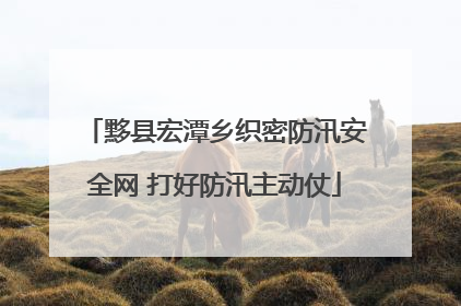 黟县宏潭乡织密防汛安全网 打好防汛主动仗