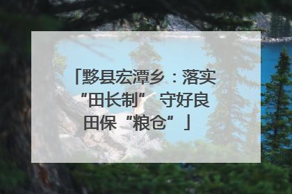 黟县宏潭乡：落实“田长制” 守好良田保“粮仓”